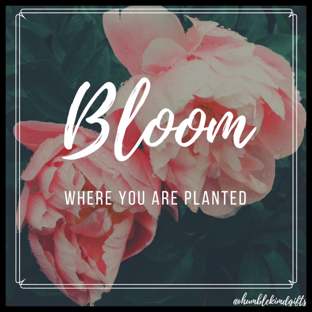 ⭐️ Bloom Where You Are Planted